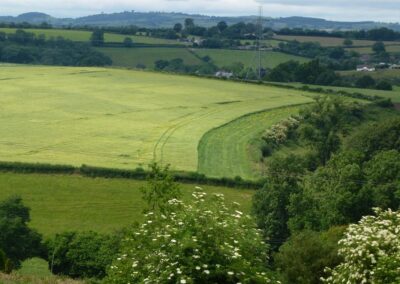 Dog-friendly holiday accommodation for walking in Herefordshire | Thatch Close Cottages